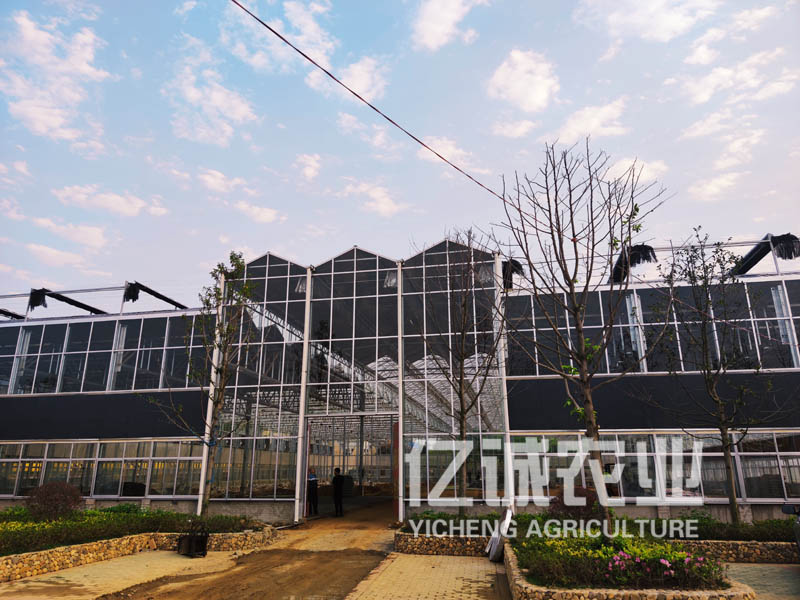 溫室大棚建設廠家